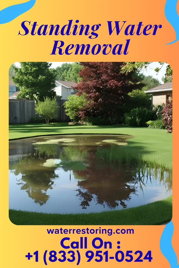 Standing Water Removal in Covington, KY